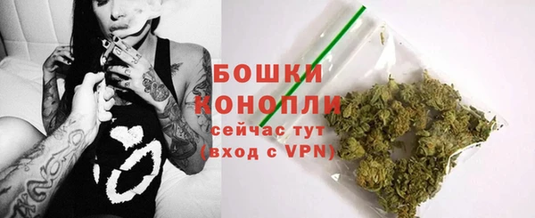 индика Осташков