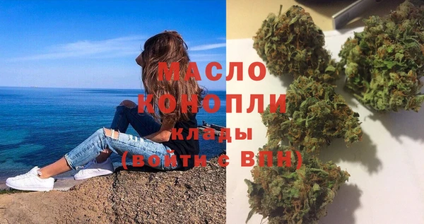 индика Осташков