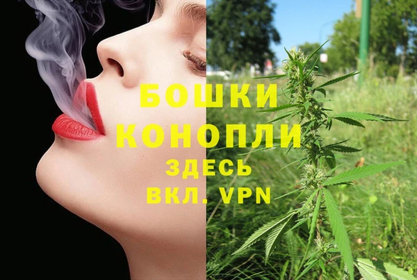 сатива Нягань