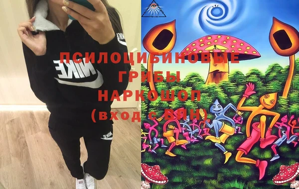 круглые Няндома