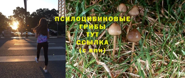 mdma Нязепетровск