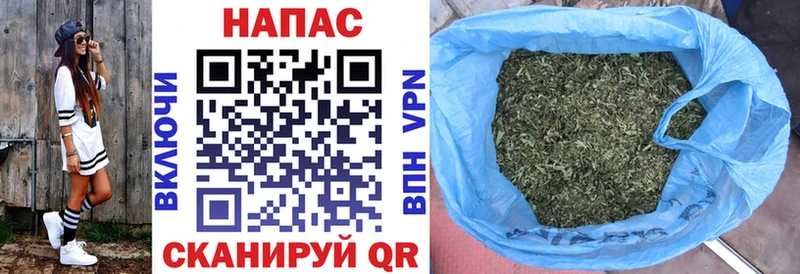 Бошки марихуана OG Kush  Купить  Сольцы 